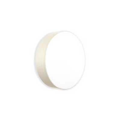 Gea Large Wall & Ceiling Light