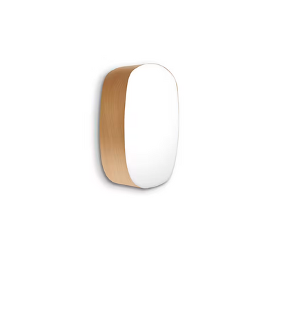 Guijarro Medium Wall & Ceiling Light