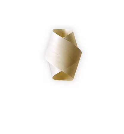 Orbit Wall Light