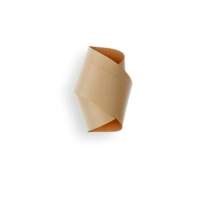 Orbit Wall Light