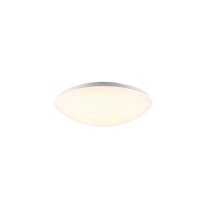 Ask 41 LED Ceiling Light White