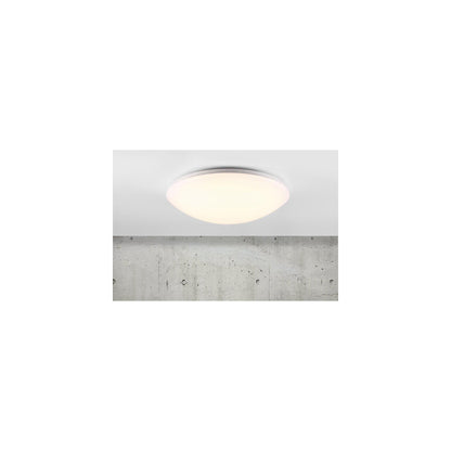 Ask 41 LED Ceiling Light White