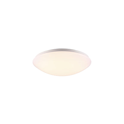 Ask 36 LED Ceiling Light