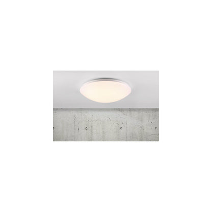 Ask 36 LED Ceiling Light