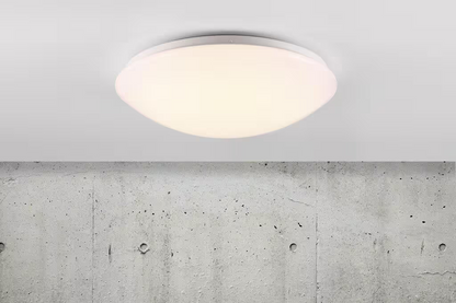 Ask 36 LED Ceiling Light