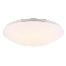 Ask 36 LED Ceiling Light