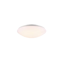 Ask 36 LED Ceiling Light