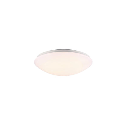 Ask 36 LED Ceiling Light