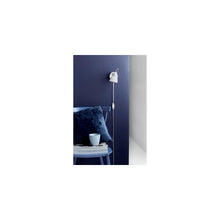 Aslak Wall Spotlight