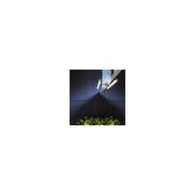 Kashima LED Bathroom Wall Light