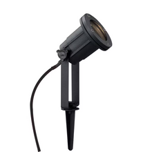 Spotlight Outdoor Path Light with Spear Black
