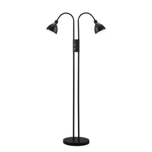 Ray Dimmer 2-Light Floor Lamp