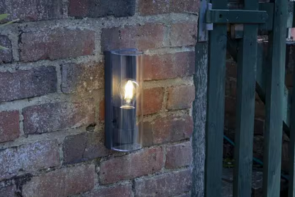 Quenby 1-Light Wall Light