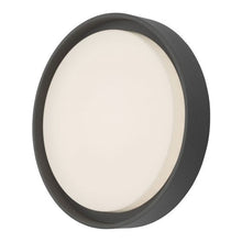 Dar Ralph Outdoor Ceiling Light