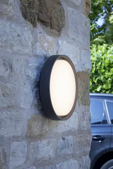 Ralph LED Round Flush Mount Anthracite