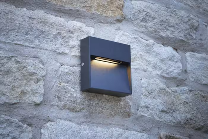 Yukon Outdoor LED Wall Light