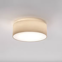 Cambria 380 LED Ceiling Light
