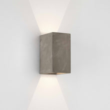 Astro Outdoor Wall Light