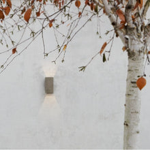 Astro Outdoor Wall Light