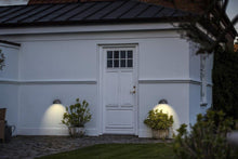 Nordlux Scorpius Wall Light