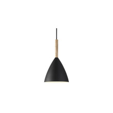 Pure 20 Pendant with Wood Details