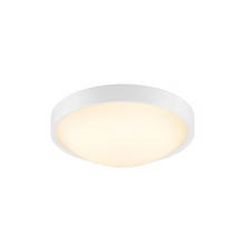Altus 2700K LED Ceiling Light