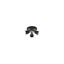 FRY 3Lt Round Plate Spot Ceiling light