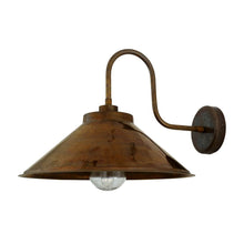 Mullan Lighting Nerissa Swan Neck Wall Light