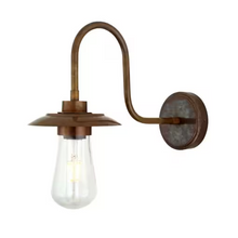 Ren Swan Neck Wall Light IP65