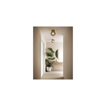 Orbform Ceiling Light Smoke