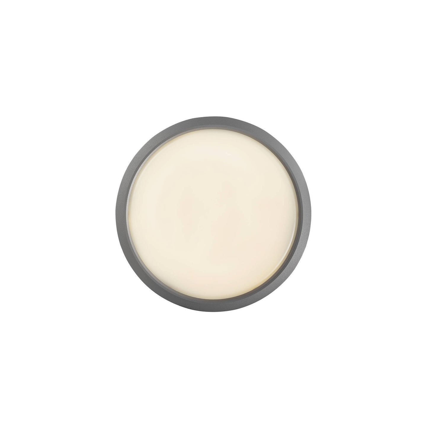 Ava Outdoor LED Wall/Ceiling Light