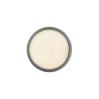 Ava Outdoor LED Wall/Ceiling Light