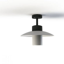 Roger Pradier Aubanne Outdoor Ceiling Light