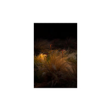 Ginger B 20/63 Outdoor Bollard
