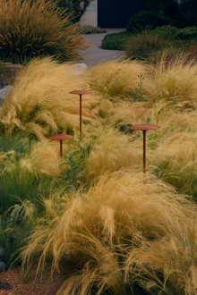 Ginger B 20/86 Outdoor Bollard