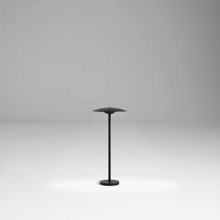 Ginger B 20/44 Outdoor Bollard IP65