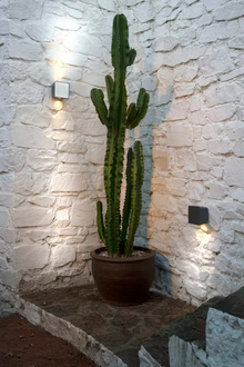 Lab 2 2020 Outdoor LED Wall Light Graphite Grey