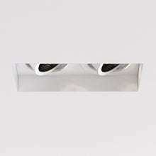 Astro Trimless Twin Adjustable Downlight