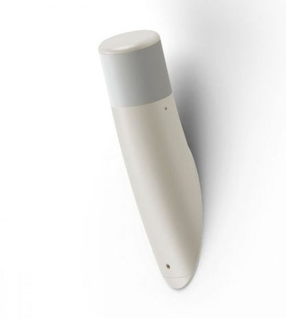 Roger Pradier Bamboo Outdoor Wall Light