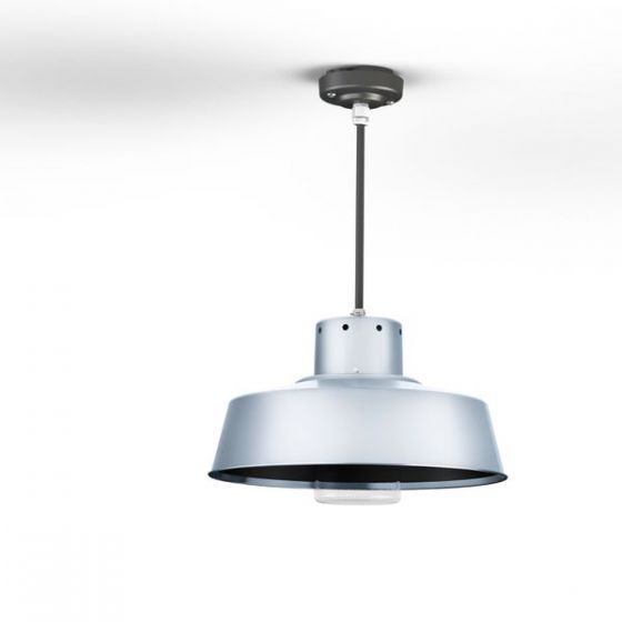 Roger Pradier Faktory Outdoor Ceiling Light