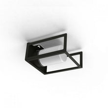 Roger Pradier Outdoor Cage Wall/Ceiling Light