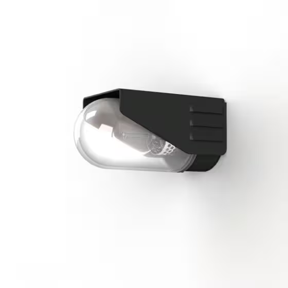 RP195 Clear Glass Decorative Wall Light