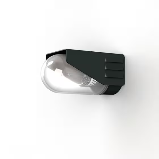 RP195 Clear Glass Decorative Wall Light