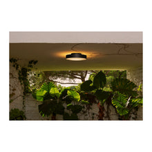 Plaff-On! 33 LED Outdoor Ceiling Light IP54