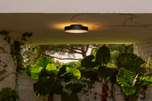 Plaff-On! 33 Outdoor Ceiling Light Black IP54