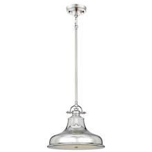 Emery 1-Light Medium Pendant