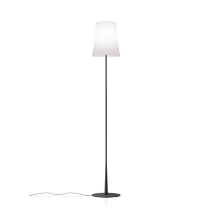 Birdie Easy Lettura Floor Lamp