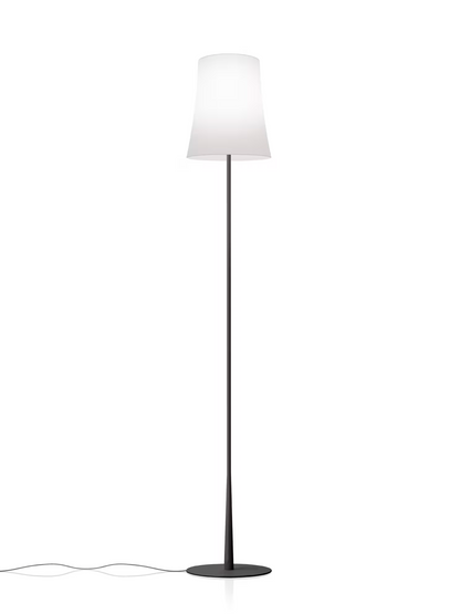 Birdie Easy Lettura Floor Lamp
