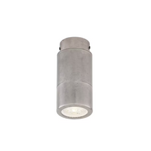 Quin Cylinder Ceiling Downlight