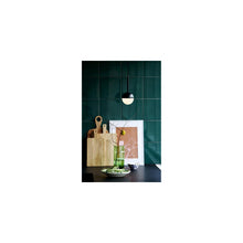 Contina 1-Light Pendant